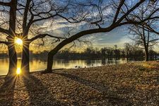 Sunrise Over Prospect Park Lake, Prospect Park; Brooklyn, New York, United States of America Poster Print (19 x 12)