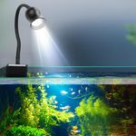 Wonming Aquarium Light Focus Light for Fish Tank Indoor LED Light Big Clip Lamp Adjustable Focus (White-Blue)