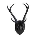 Near & Deer HT1717 Large Faux Deer Antlers, Colorado Cabin Decorating Accent Animal Rustic Chic Western, Black Onyx Horns on Matching Skull Cap