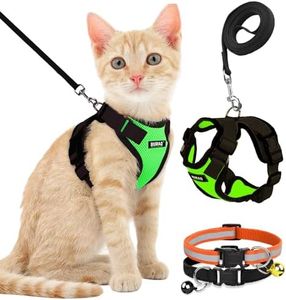 Buraq Pets