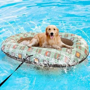 Dog Float 