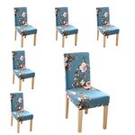 Styleys Polyester Classic Elastic Stretch Removable Washable Short Dining Chair Cover (6 Chair Cover, SLMC160 Sky Blue Flower)