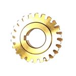 One (1) Snowblower Worm Gear for Murray Snow Blowers