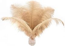 Ballinger Large Champagne Ostrich Feathers - 24pcs 12-14inch Boho Feathers for Vase and Home Decor Wedding Party Centerpieces