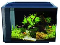 Fluval Spec Aquarium Kit – Black - 60 L (16 US gal)