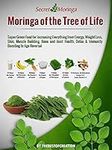 Moringa of the Tree of Life: Super 