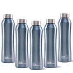 The Better Home Stainless Steel Water Bottle 1L | BPA Free Leak Proof Gym Office School | Kids Water Bottle Metallic Blue