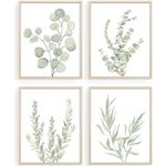 Howwii Botanical Boho Bathroom Decor Wall Art Prints, UNFRAMED Sage Green Plants Decor for Bedroom|Office, Minimalist Eucalyptus Leaves Watercolor Art Prints, Set of 4 Pictures, 8"x10" No Frames