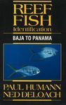 Reef Fish Identification: Baja to Panama