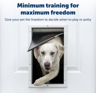 PetSafe Staywell XL Pet Door – Large Dog & Cat Flap