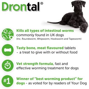 Drontal XL Wormer for Large Dogs – Broad Spectrum Deworming Tablets