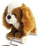 Little Bird Told Me - Pull Along Toy with Removable Wheels, for Toddlers and 1 Year Olds (Peanut Pup)