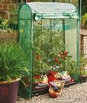 Tomato Greenhouse