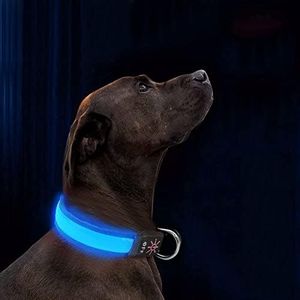 LED Dog Collar Light Up Dog Collar USB Rechargeable Waterproof,Night Dog Band with 3 Glowing Modes,Makes Your Dog Visible, Safe & Seen (Blue, M)