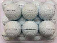 24 Titleist Pro V1 golf lake balls 2022 model (USED not new) Grade A/Grade B