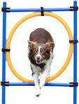 Trixie Dog Activity Agility Ring, 115 ﾗ 3 cm 65 cm, Orange/ Blue