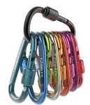 Gimars 10 PCS 6cm D Shape with Locking Screw Nuts, Spring-loaded Gate Carabiner Clips, Small Carabiner for Key Chain Camping Fishing Hiking Travelling Backpack