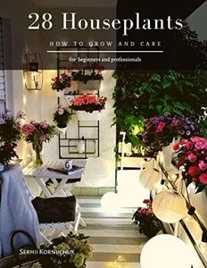 28 Houseplants: How to grow and care