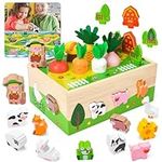 Balnore Montessori Toys for 1,2,3 Y