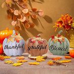 Soaoo 3 Pcs of Fall Wood Sign Fall Family Blessing Thanksgiving Sign, Tiered Tray Decoration Fall Harvest Tabletop Sign Thanksgiving Pumpkin Decoration Fall Wood Block Sign for Family Gathering