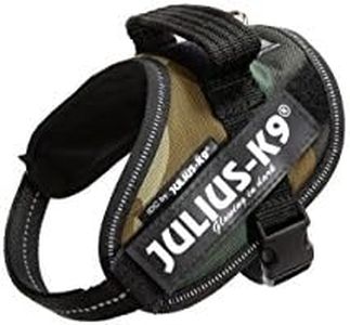 Julius-K9,