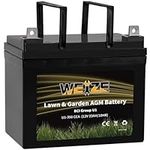 WEIZE Lawn & Garden AGM Battery, 12