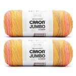 Caron Jumbo Ombre Yarn, Sunset 2 Pack