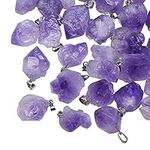 DanLingJewelry 20Pcs Natural Amethyst Pendants Tumbled Healing Crystal Chakra Reiki Gemstone Bead Charms for Necklace Jewellery Making