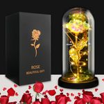 JUSTOYOU Rose Gifts for Women,Mothers,Wife Gifts,Colorful Artificial Rose Flower Gifts for Women,Forever in Glass Dome,Rainbow Rose Flower for Birthday,Christmas Mothers Day Decorations(Gold)
