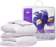 Canadian Down & Feather Co. - Regular Weight Canadian Hutterite Goose Down Comforter Twin Size - 400 TC Shell 100% Cotton 140 GSM - Made in Canada