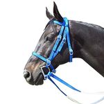 Intrepid International Exselle Horse Bridle - Durable Nylon Racehorse Bridle with Adjustable Rubber Grip Horse Reins, Cavesson & Curb Strap Attached - English Bridle Sets for Horses, Royal Blue