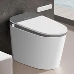 EPLO Smart Toilet Bidet with Auto O