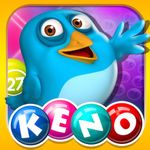 Keno Jackpot Lottery Cards! - Lucky Lotto Frenzy