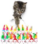 FYNIGO Cat Mouse Toys,17 Pack Cat Toy Mice Rattle Set,Interactive Cat Toy for Indoor Cats and Kittens,Assorted Color Catnip Toys with Feather Tail