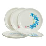 Reusable Plastic Plates