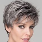 Panda Jianghu PANDAJH Grey wigs for