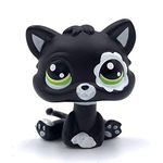 LPSCB Custom-Made Baby for Short Hair Cat #2249 Black Body White Flower Eyes Bobble Head 1 Inch Kitty Mini Pet Toys