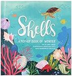 Shells: A Pop-Up Book of Wonder (4 