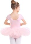 danswan Ballet Tutu Leotards Toddler Girls Short Sleeve with Glitter Skirt Dance Ballerina Outfit, Ballet Pink, 2-3T