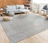 Paco Home Living Room Rug Plain Simple And Modern Short-Pile, Various Sizes and colours, Size:80x150 cm, Colour:Silver