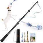 Flirt Pole for Dogs - Extendable Dog Flirt Pole with Detachable Interactive Toys - Flirt Stick for Small Medium Dogs Training Playing Exercise(Pole-40inch Max)