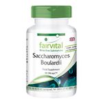 Fairvital | Saccharomyces Boulardii - Bulk Pack for 3 Months - Vegan - HIGH Dosage - 90 Capsules - standardised Beneficial Yeast Culture