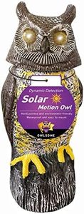 Owlsome So