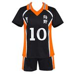 Rickem Haikyuu Cosplay Costume Hinata Shoyo Shirt Shorts Karasuno High School Volleyball Uniform Haikyuu Jersey for Women Men (Medium, 10-Hinata Shoyo)