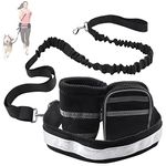 Waist Dog Leashes