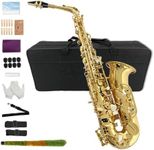 Yinfente Eb Flat Alto Saxophone Kit