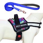 PAYTON PERRY Customized Dog Harness with Leash | Dog Harness with Name | Personalized Dog Vest Harness, No Pull, Adjustable (Medium, Blue-Diamond, Recommended for 14-23KG Pets)