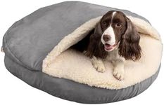 Snoozer Cozy Cave Dog Bed - Indoor 