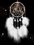 Nice Dream White Dream Catchers, Handmade Nursery Decor for Girls Boys, LED Feather Dream Catcher Wall Hanging Decorations Ornaments Craft