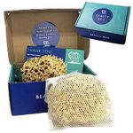 HartFelt Wool Sea Sponge Beauty Box for Delicate Skin | 2 Bath Sponges for Shower Women & Men 4 in | Natural Sponge with Mesh Bag for Cleaning & Drying | Chemical-Free Body Sponge Set - Gift Box